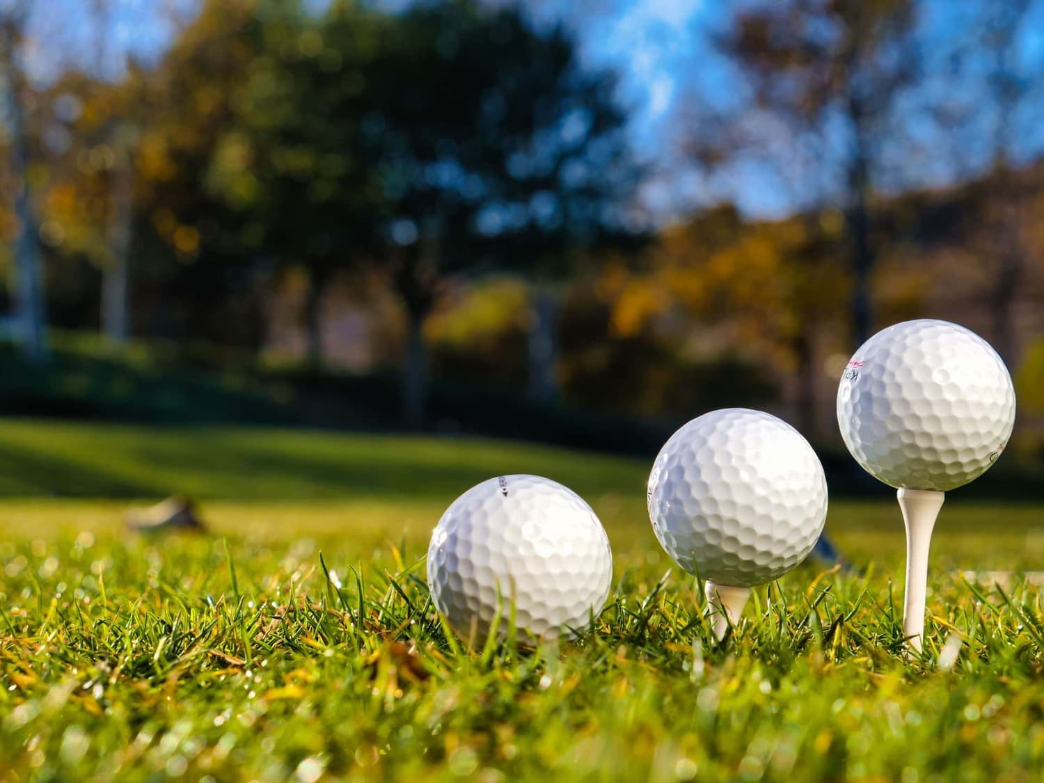 A golf ball resting on a tee in the grass, ready to be hit